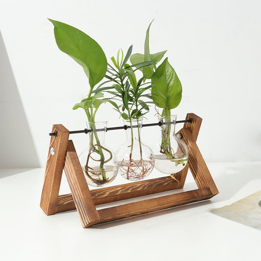 1Pc Desktop Glass Planter For Hydroponics