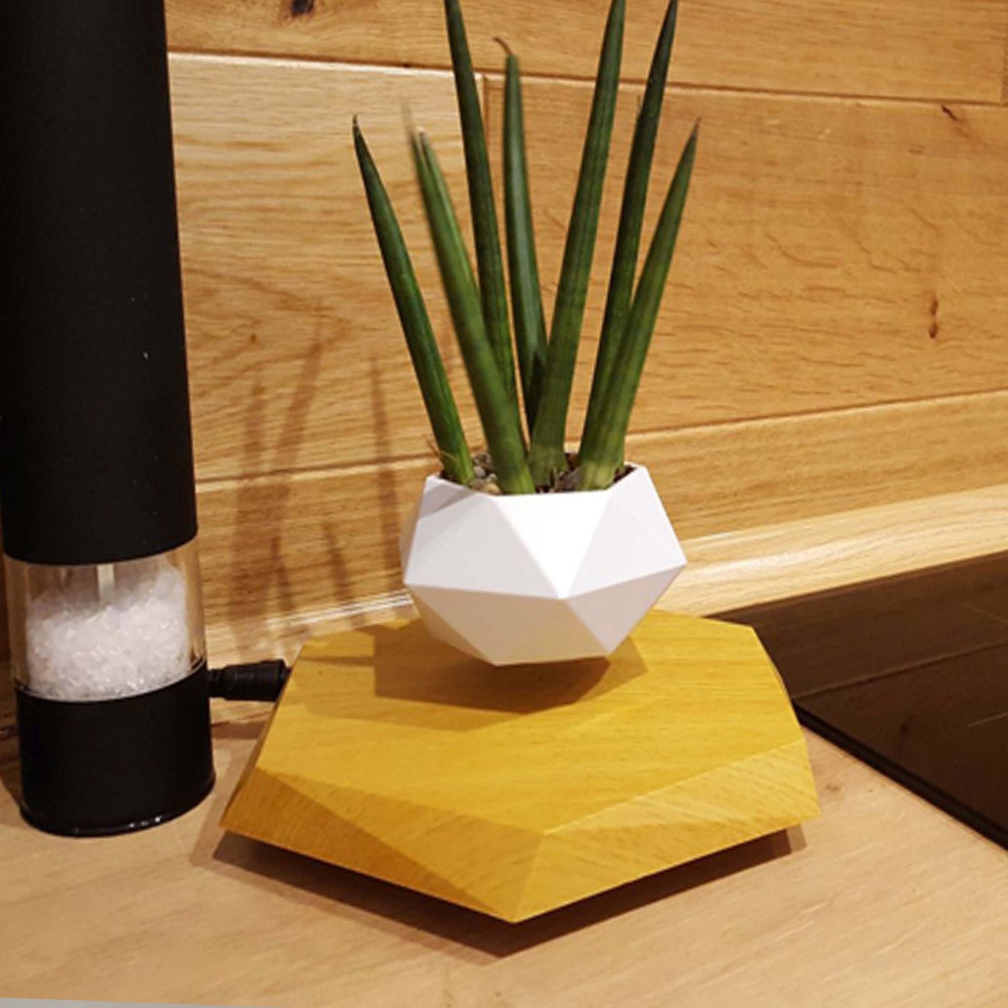 Floating Magnetic Levitating Planter