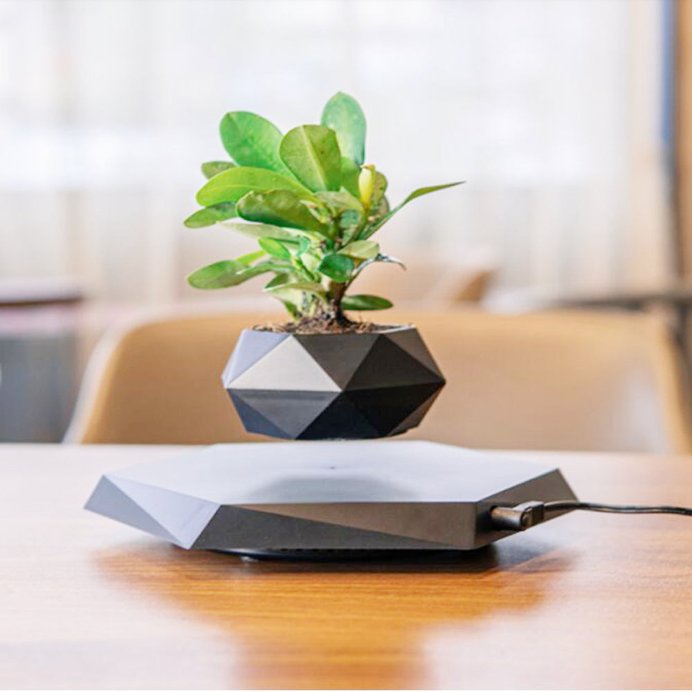 Floating Magnetic Levitating Planter