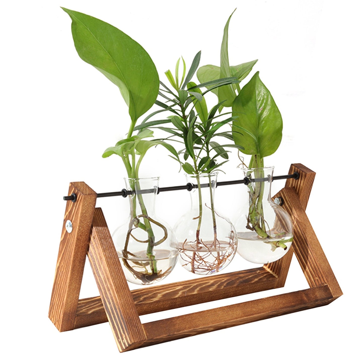 1Pc Desktop Glass Planter For Hydroponics