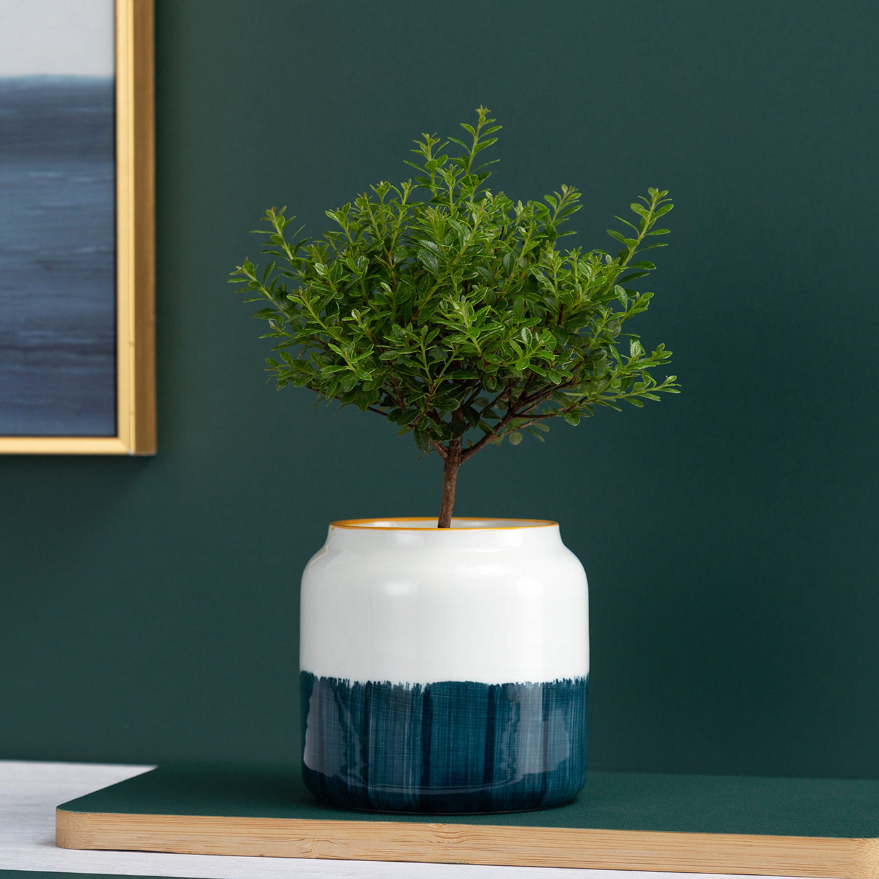 Creative Modern Style Hand-painted Ceramic Flower Pot